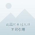 掌御九天收了几个老婆